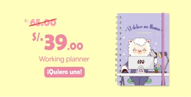 PROMO WORKING PLANNER
